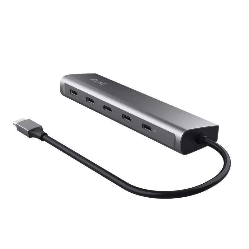 Trust Halyx USB 3.2 Gen 1 (3.1 Gen 1) Typ-C Silber