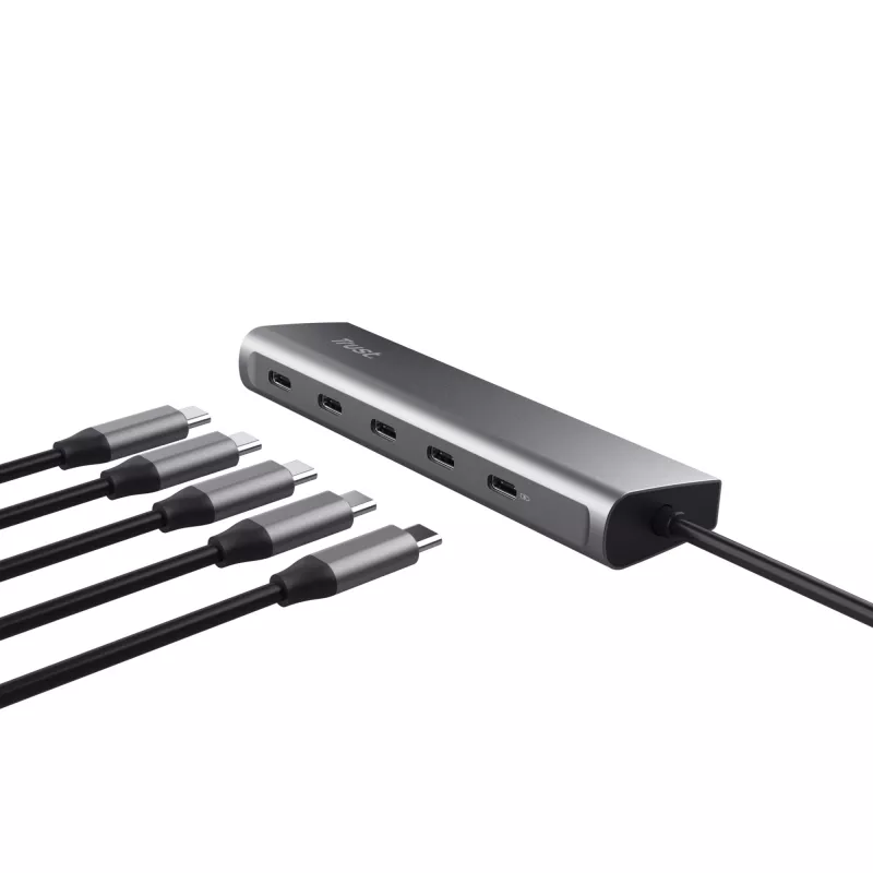 Trust Halyx USB 3.2 Gen 1 (3.1 Gen 1) Typ-C Silber