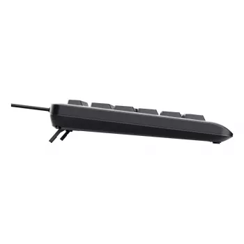 Kabelgebundene Full-Size-Tastatur TRUST Primo Illuminated USB QWERTZ Deutsch, 104 Tasten, schwarz, 1,8 m Kabel