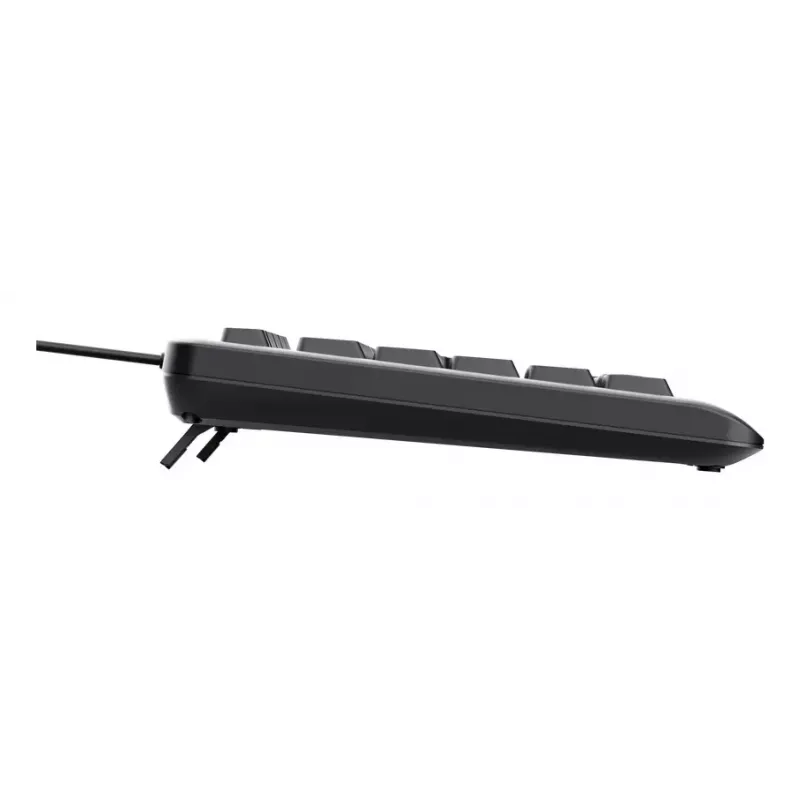 Kabelgebundene Full-Size-Tastatur TRUST Primo Illuminated USB QWERTZ Deutsch, 104 Tasten, schwarz, 1,8 m Kabel