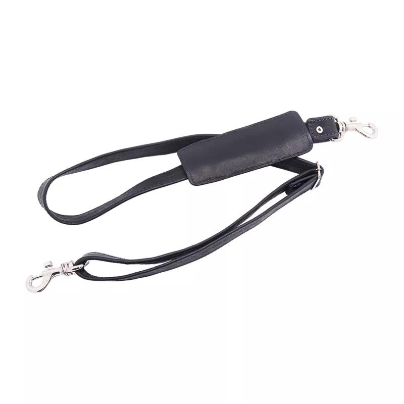 R-Go Tools Laptoptasche R-Go Viva, Vollleder, mit integriertem Laptopständer, Schultergurt, 39,6 cm (15,6 Zoll), schwarz
