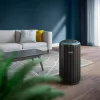 Luftreiniger Philips 4200er Serie AC4221/11 — Fläche 156 m², CADR 600 m³/h, 51,5 dB, 54 W, Schwarz, 6,5 kg