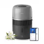 Luftbefeuchter Philips 5000 Serie HU5710/03 – Dampfluftbefeuchter, 4,5 l, graphit