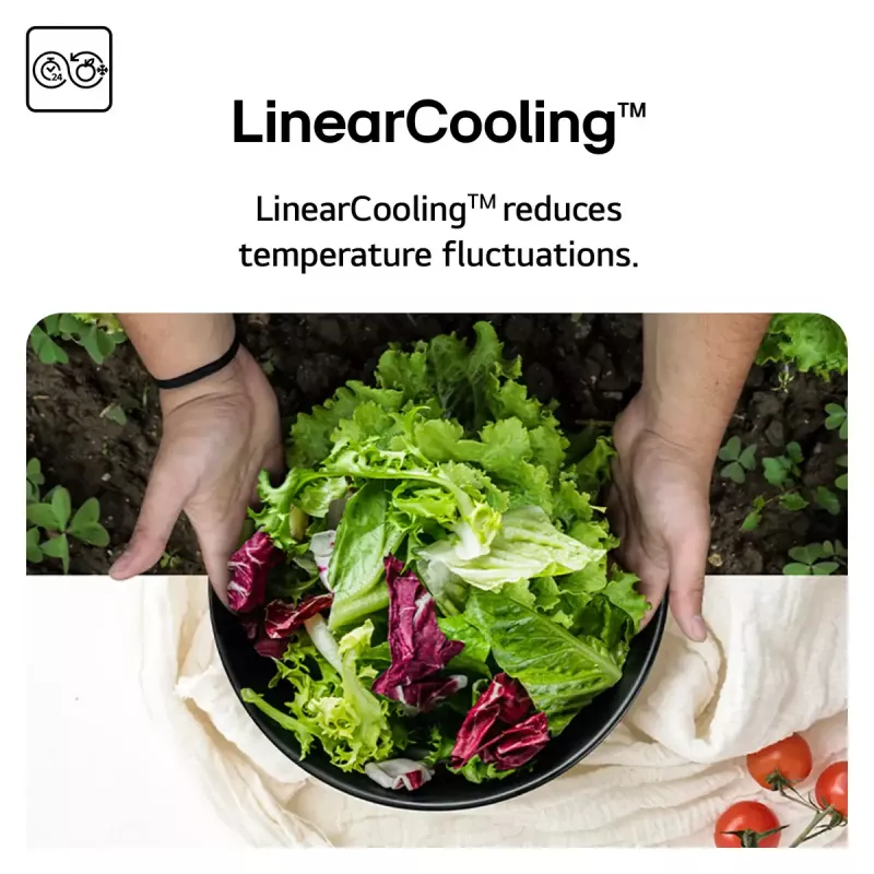 LG NatureFRESH GSBC40PYPE Amerikanischer Kühl-Gefrierschrank – Prime Silver – Energieeffizienzklasse E
