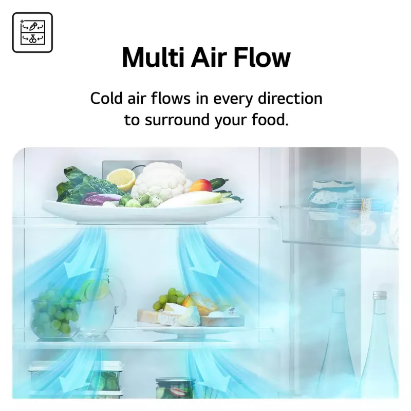 LG NatureFRESH GSBC40PYPE Amerikanischer Kühl-Gefrierschrank – Prime Silver – Energieeffizienzklasse E
