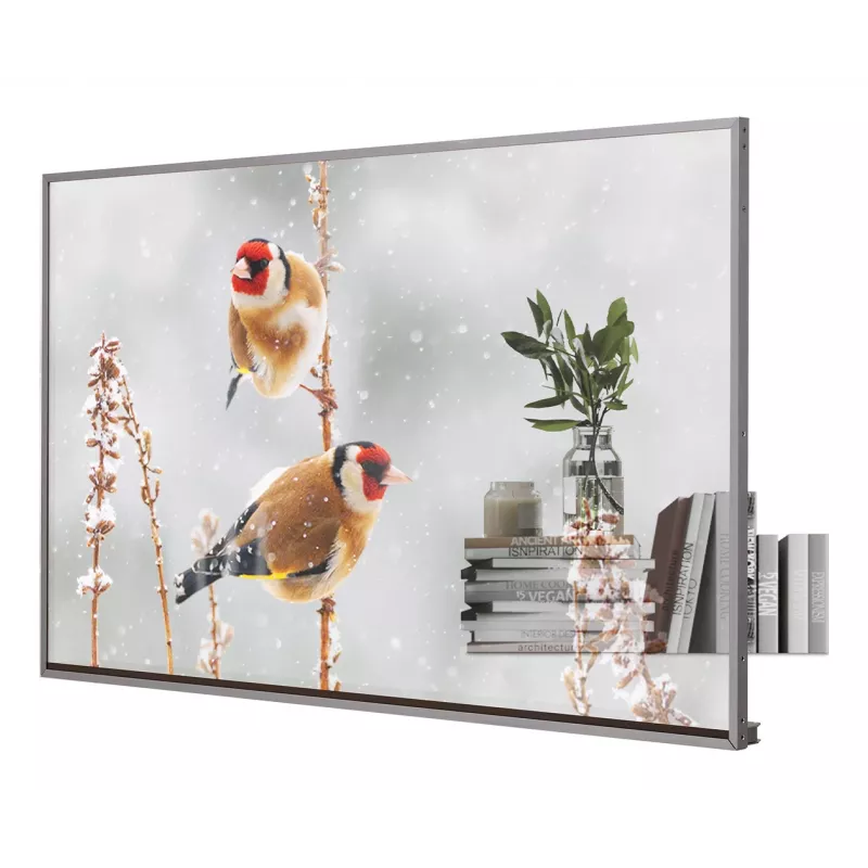LG 55EW5P-M Signage Display 139,7 cm (55 Zoll) OLED 600 cd/m² Full HD Silber Touchscreen 18/7