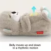 Fisher-Price Soothe 'n Snuggle Otter, Kuscheltier, Soundmaschine mit Atembewegung