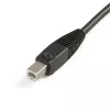 StarTech.com 1,8 m 4-in-1 USB DVI KVM-Kabel mit Audio und Mikrofon