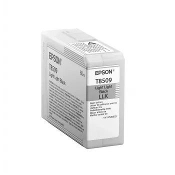 Epson Singlepack Hell-Hell-Schwarz T850900, Hell-Hell-Schwarz, Pigmenttinte, 80 ml, 1 Stück