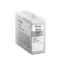 Epson Singlepack Hell-Hell-Schwarz T850900, Hell-Hell-Schwarz, Pigmenttinte, 80 ml, 1 Stück