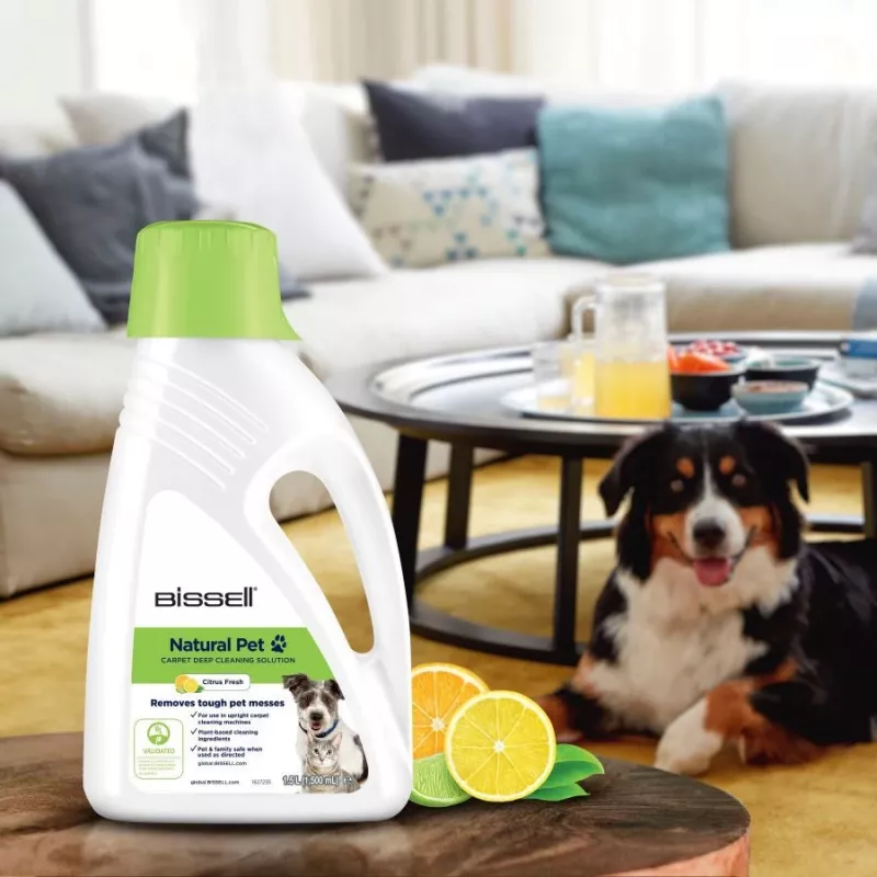 Bissell 3242 Teppichreiniger/Geruchsneutralisierer