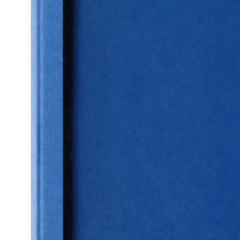 GBC LeatherGrain ThermaBind-Umschläge 3 mm Königsblau (100)