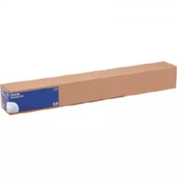 Epson Fotopapier glänzend, 44 Zoll x 30,5 m, 250 g/m²