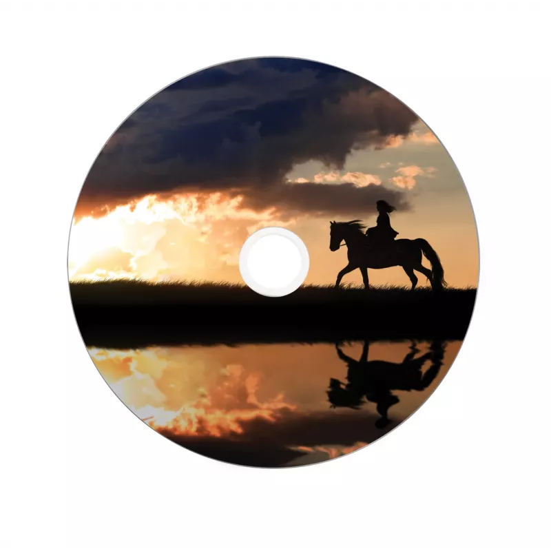 Verbatim 43667 Leer-DVD 8,5 GB DVD+R DL 25 Stk.
