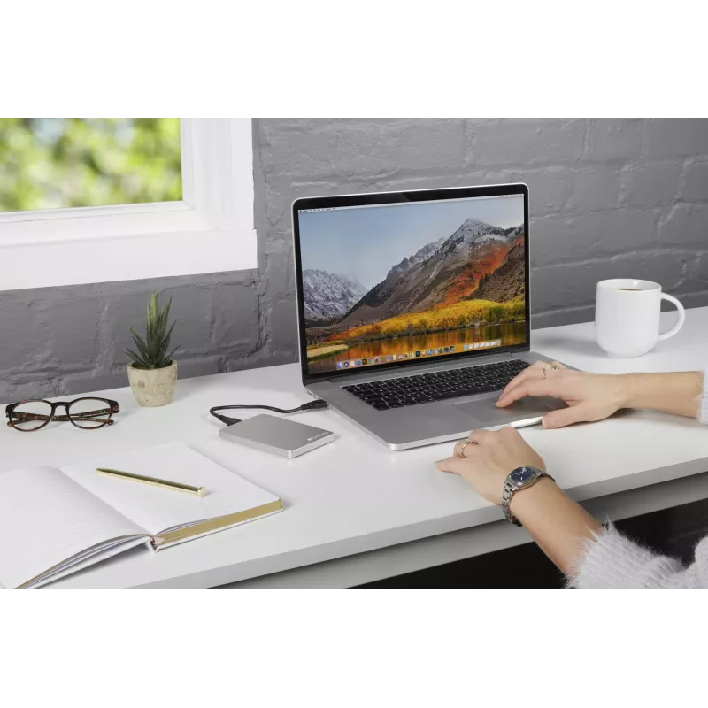 Verbatim Store 'n' Go ALU schlank tragbare Festplatte 1 TB Silber