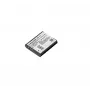 Ricoh DB-110 Lithium-Ionen (Li-Ion)