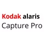 Kodak Alaris Capture Pro, Group DX, 5 Jahre, 5 Jahre, Lizenz