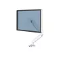 Fellowes Platinum Series Monitorarm – Monitorhalterung für 8 kg, 40-Zoll-Bildschirme – verstellbarer Monitor-Tischhalter – Neigung 45°, Schwenken 180°, Drehung 360°, VESA 75 x 75/100 x 100 – Weiß