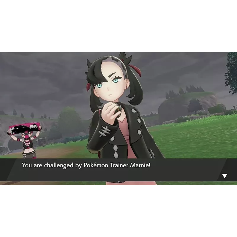 Nintendo Pokémon Schwert Standard Nintendo Switch