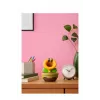 Nintendo Talking Flower, Sammlerfigur, Videospiel