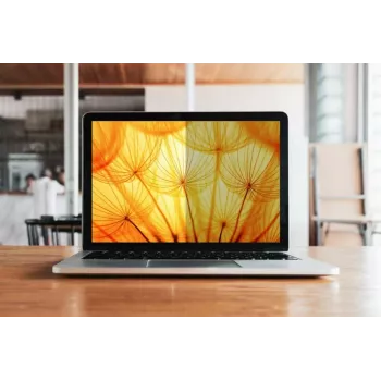 3M BP170W1B Display-Blickschutzfilter 43,2 cm (17 Zoll) Laptop Rahmenloser Display-Blickschutzfilter