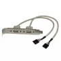StarTech.com 2 Port USB A Female Slot Plate Adapter, 2 x IDC, 2 x USB A, 0,286 m, Silber