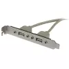 StarTech.com 2 Port USB A Female Slot Plate Adapter, 2 x IDC, 2 x USB A, 0,286 m, Silber