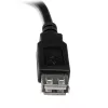 StarTech.com 6in USB 2.0 Verlängerungskabel A an A - M/F