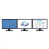StarTech.com 3-Port Multi Monitor Adapter - DisplayPort 1.2 MST Hub auf Dual 4K 30 Hz & 1x 1080p - Video-Splitter für erweiterten Desktop-Modus nur auf Windows-PCs - DP auf 3x DP Monitore