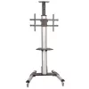 StarTech.com TV-Rollwagen – höhenverstellbar – abschließbare Räder, 40 kg, 81,3 cm (32 Zoll), 190,5 cm (75 Zoll), 200 x 200 mm, 600 x 400 mm, 1110 - 1510 mm