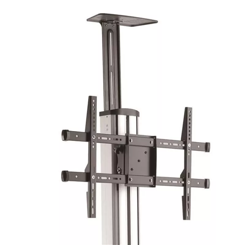 StarTech.com TV-Rollwagen – höhenverstellbar – abschließbare Räder, 40 kg, 81,3 cm (32 Zoll), 190,5 cm (75 Zoll), 200 x 200 mm, 600 x 400 mm, 1110 - 1510 mm