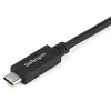StarTech.com 2 m USB-C-auf-DVI-Kabel – 1920 x 1200 – Schwarz