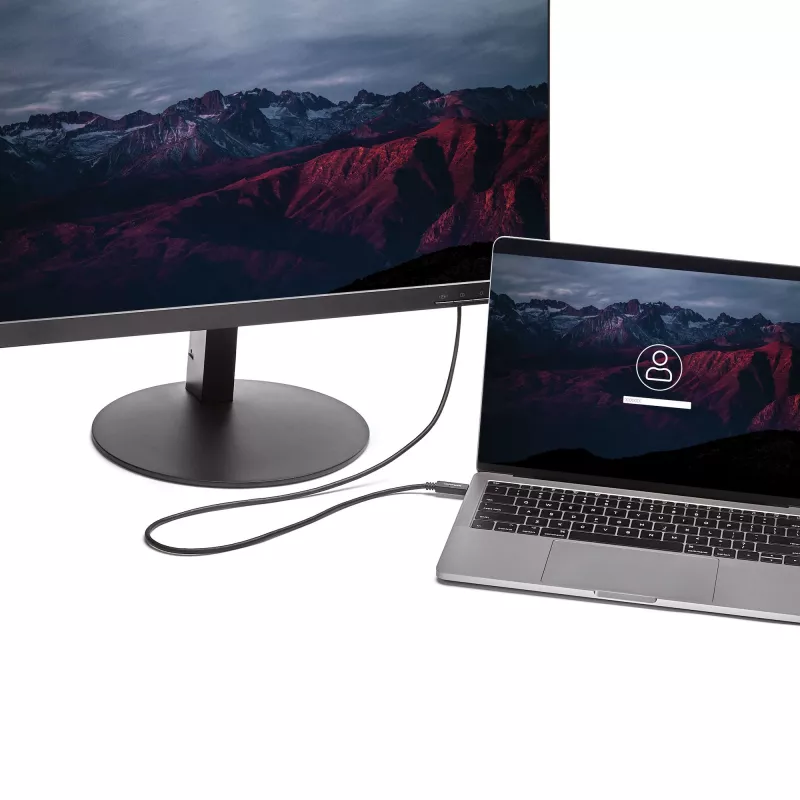 StarTech.com 2 m USB-C-auf-DVI-Kabel – 1920 x 1200 – Schwarz