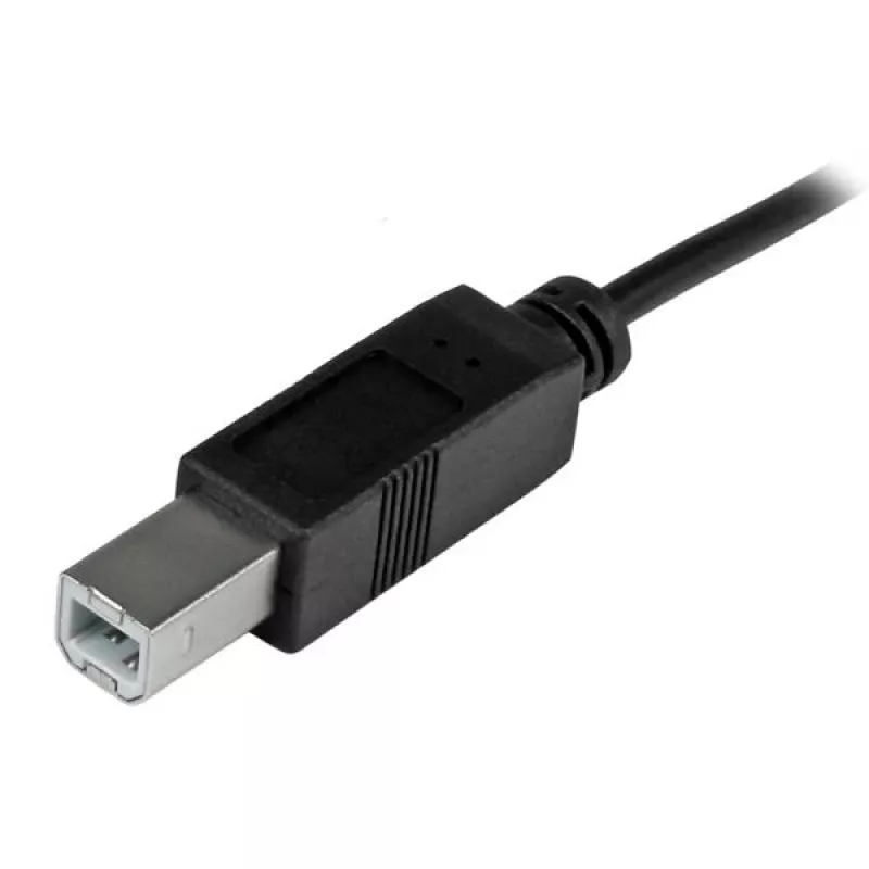StarTech.com USB-C-auf-USB-B-Kabel - M/M - 2 m (6 ft.) - USB 2.0