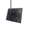 StarTech.com TV-Deckenhalterung – Vollbewegliche universelle Hängehalterung für einen Bildschirm mit verstellbarem Teleskop-Langmast – Neigung / Schwenkung – VESA-Halterung für 32 inch-75 inch Displays