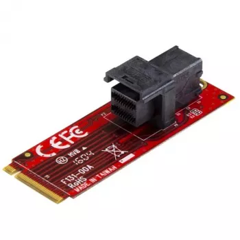 StarTech.com U.2 (SFF-8643) zu M.2 PCI Express 3.0 x4 Host-Adapterkarte für 2,5” U.2 NVMe SSD