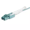 StarTech.com 10m (30ft) MTP(F)/PC auf 4x LC/PC Duplex Breakout OM3 Multimode Glasfaserkabel, OFNP Plenum, 40G Netzwerke, geringe Einfügedämpfung - Glasfaser-Jumperkabel