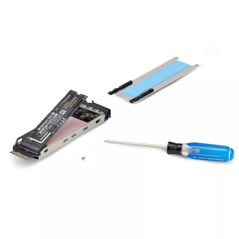 StarTech.com Dual-Bay M.2 NVMe SSD zu PCIe x8 Wechselrahmen; Bifurcation erforderlich; Werkzeuglose Installation, PCIe-Backplane mit zwei Hot-Swap-Laufwerksschächten