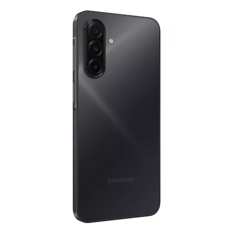 Samsung Galaxy A17 17 cm (6.7 Zoll) Hybrid Dual SIM 4G USB Type-C 8 GB 256 GB 5000 mAh Schwarz
