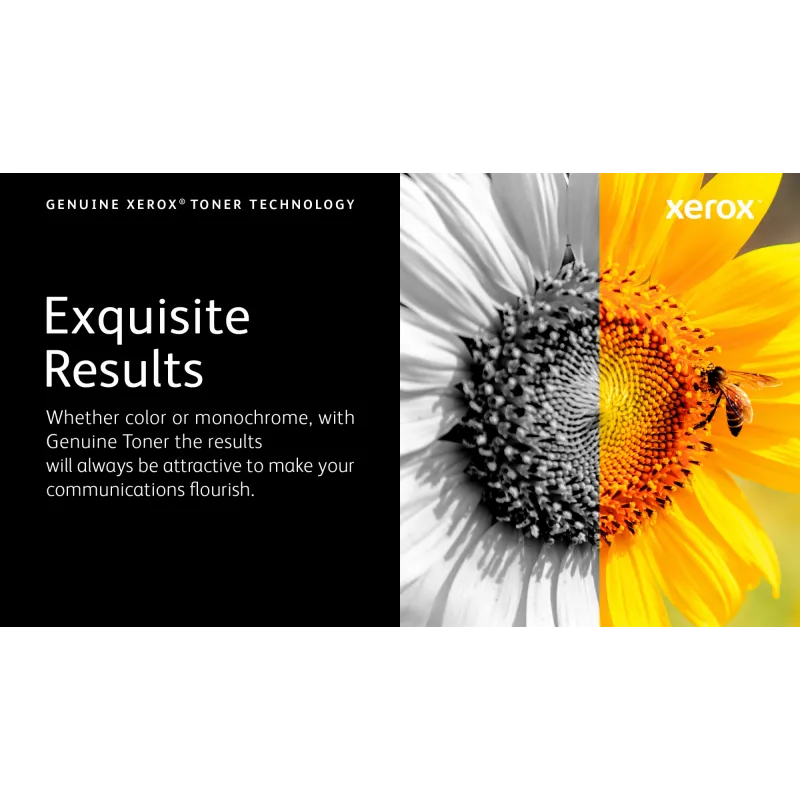 Xerox Genuine ® C410 Color Printer/VersaLink® C415 Color Multifunction Printer Magenta Standardkapazität Tonerkartusche (2000 Seiten) - 006R04679