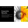Xerox Genuine ® VersaLink® B400 Drucker/B405 Multifunktionsdrucker Schwarze Tonerkartusche mit Standardkapazität (5900 Seiten) – 106R03580