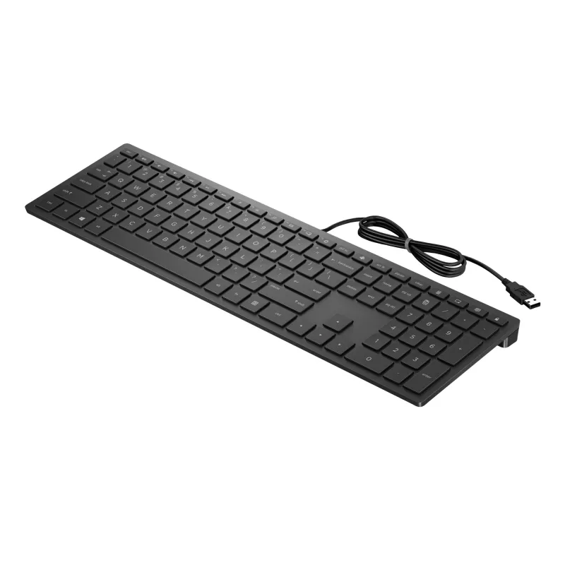 HP Pavilion Wired Tastatur 300, Full-size (100%), Kabelgebunden, USB, Mechanisch, Schwarz