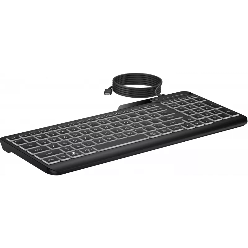 HP 405 Multi-Device kabelgebundene Tastatur mit Hintergrundbeleuchtung, Full-Size (100 %), kabelgebunden, USB, Membran, Schwarz