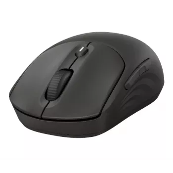Kabellose Maus HP 405 Quiet — beidhändig, Optisch 1200 DPI, RF Wireless + Bluetooth, 5 Tasten, batteriebetrieben, schwarz