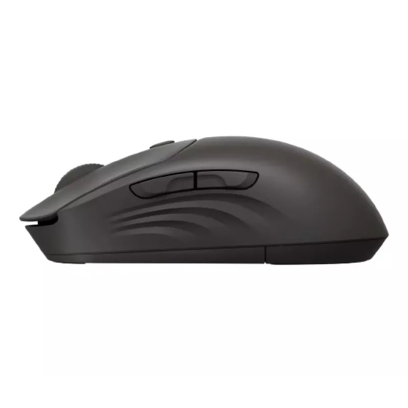 Kabellose Maus HP 405 Quiet — beidhändig, Optisch 1200 DPI, RF Wireless + Bluetooth, 5 Tasten, batteriebetrieben, schwarz
