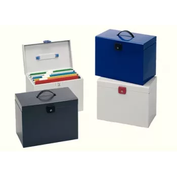 Esselte 48320 Aktenaufbewahrungsbox Metall Verschiedene Farben