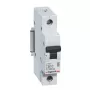 Legrand RX3 Leitungsschutzschalter Miniatur-Leitungsschutzschalter Typ B 1