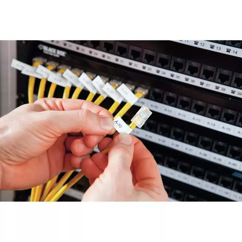 DYMO RHINO 4200 Industrieller Etikettendrucker | AZERTY-Tastatur & zeitsparende Hotkeys | Robuster Etikettendrucker für Baustellen und anspruchsvolle Beschriftungsaufgaben