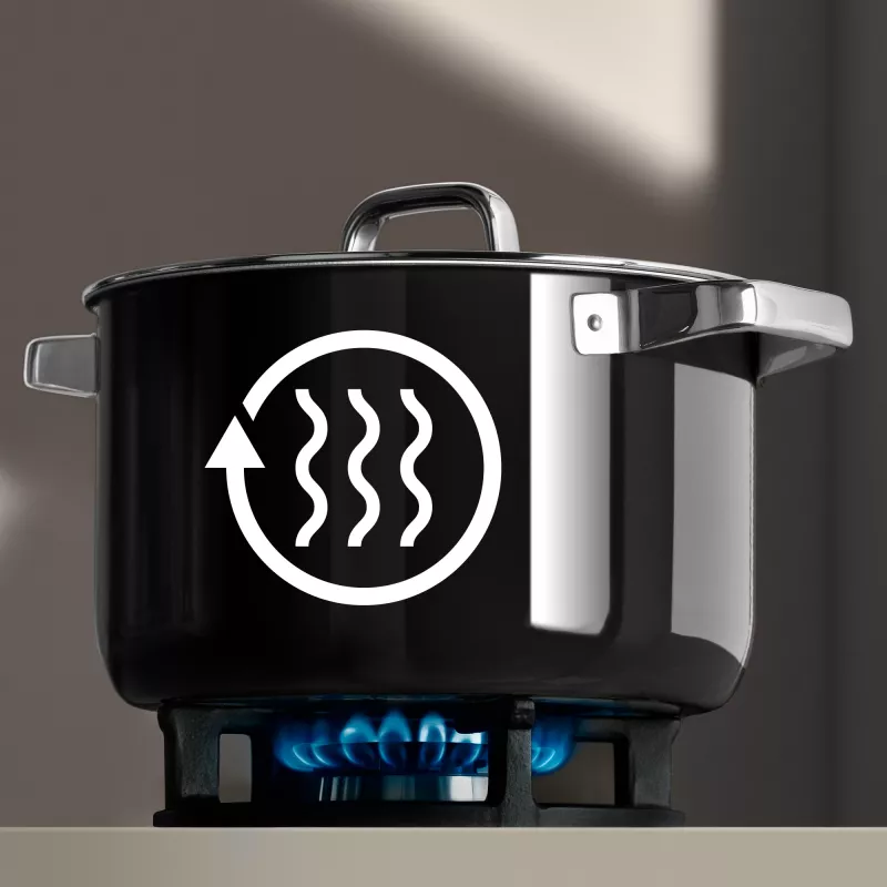 WMF 05.1869.5290 Kochtopf Schwarz