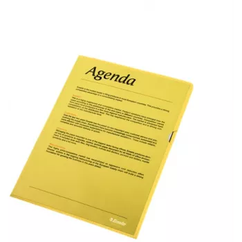 Esselte Folder 105my A4 Box of 100